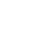 logo newton white